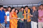 Buchi Babu Movie Audio Launch - 59 of 83