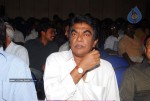 Buridi Movie Audio Function - 23 of 188