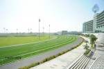 Telugu Warriors Team at Sharjah Stadium - 1 of 64