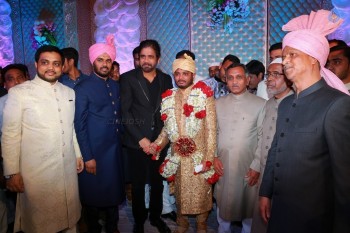Celebrities at Syed Ismail Ali Daughter Wedding Pics - 21 of 182