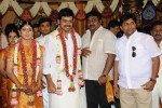 Celebs at Actor Karthi and Ranjini Wedding - 37 of 44