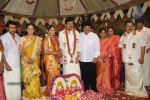 Celebs at Actor Karthi and Ranjini Wedding - 31 of 44