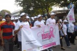 Stars at Breast Cancer Awareness Walk 4 Event - 100 of 107