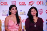 Celebs at CCL Press Meet - 18 of 62