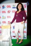 Celebs at CCL Press Meet - 28 of 62