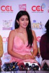 Celebs at CCL Press Meet - 53 of 62