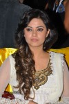 Celebs at CCL Season 2 Curtain Raiser  - 145 of 242