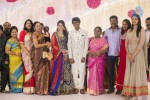 Celebs at Director Atlee n Priya Wedding Reception  - 47 of 43