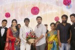 Celebs at Director Atlee n Priya Wedding Reception  - 15 of 43