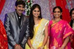 Celebs at Gopichand Malineni Wedding Reception - 2 of 66