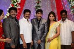 Celebs at Gopichand Malineni Wedding Reception - 6 of 66