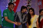 Celebs at Gopichand Malineni Wedding Reception - 7 of 66