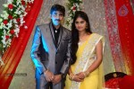 Celebs at Gopichand Malineni Wedding Reception - 9 of 66