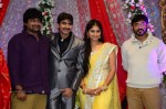 Celebs at Gopichand Malineni Wedding Reception - 22 of 66