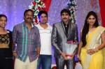 Celebs at Gopichand Malineni Wedding Reception - 26 of 66