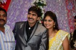 Celebs at Gopichand Malineni Wedding Reception - 33 of 66