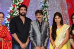 Celebs at Gopichand Malineni Wedding Reception - 39 of 66