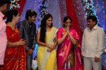 Celebs at Gopichand Malineni Wedding Reception - 40 of 66