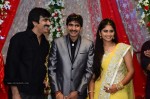 Celebs at Gopichand Malineni Wedding Reception - 47 of 66