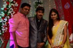 Celebs at Gopichand Malineni Wedding Reception - 50 of 66