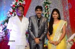 Celebs at Gopichand Malineni Wedding Reception - 56 of 66