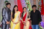 Celebs at Gopichand Malineni Wedding Reception - 58 of 66