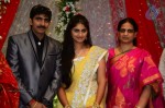 Celebs at Gopichand Malineni Wedding Reception - 63 of 66