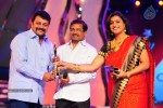 Celebs at Lux Sandal Cinemaa Awards 2011 - 54 of 54