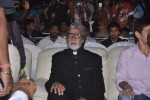 Celebs at Nandi Awards 03 - 36 of 43