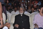 Celebs at Nandi Awards 03 - 15 of 43