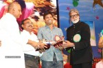 Celebs at Nandi Awards 07 - 200 of 217