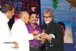 Celebs at Nandi Awards 07 - 230 of 217