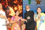 Celebs at Nandi Awards 07 - 30 of 217