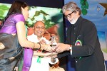 Celebs at Nandi Awards 07 - 57 of 217