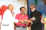 Celebs at Nandi Awards 07 - 81 of 217