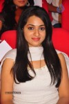 Celebs at Paisa Audio Launch - 24 of 251