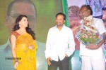 Celebs at Park Movie Audio Launch - 155 of 179