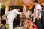 Celebs at Pokuri Rama Rao Son Wedding Photos - 3 of 23