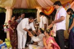 Celebs at Pokuri Rama Rao Son Wedding Photos - 10 of 23