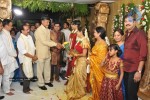 Celebs at Raasi Movies Narasimha Rao's 2nd Daughter Marriage - 42 of 26