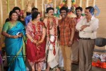 Celebs at S V Shekar 60th Wedding Anniversary - 7 of 77