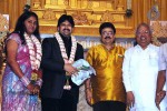 Celebs at S V Shekher Son Ashwin Wedding Reception - 31 of 86