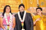 Celebs at S V Shekher Son Ashwin Wedding Reception - 85 of 86