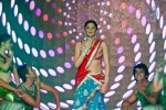 Celebs at SIIMA Awards - 33 of 97