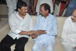 Celebs at Talasani Srinivas Yadav Daughter Reception - 328 of 350