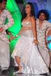 Celebs at TV9 TSR Awards 01 - 173 of 176