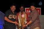 Celebs at V4 Entertainers Film Awards 2012 - 50 of 131