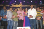 Chandi Movie Audio Launch 03 - 62 of 98
