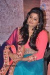 Chandi Plainum Disc Functtion - 66 of 85