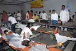 ChandraBabu Naidu Birthday Celebrations - 43 of 100